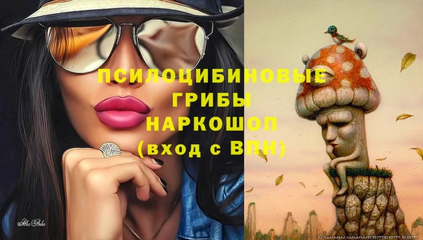гидропоника Баксан