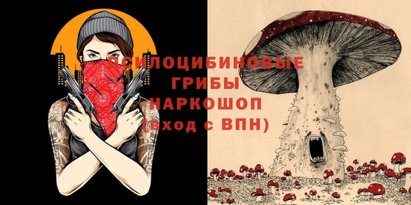 PSILOCYBIN Нязепетровск