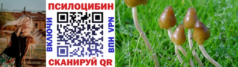 мориарти формула  Беломорск  Псилоцибиновые грибы ЛСД  продажа наркотиков 